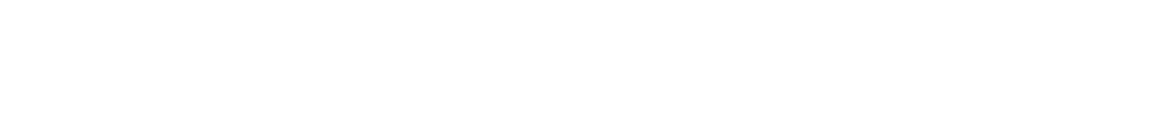 PHANTOM WIPES — wordmark